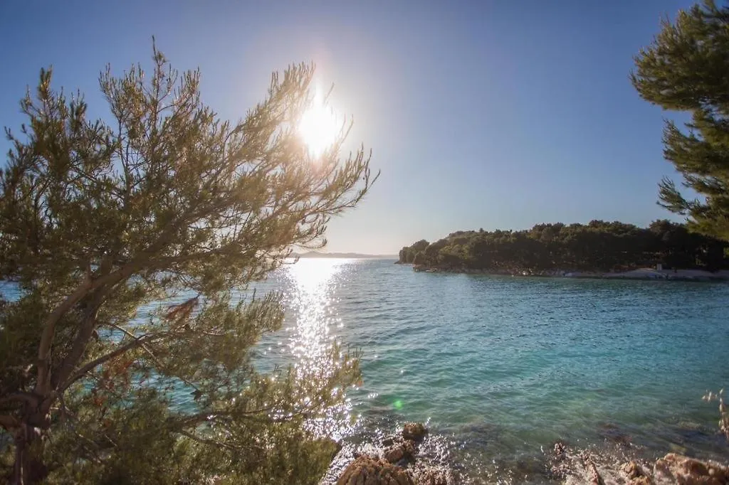 Willa Mara'S Coast - Dalia Drage